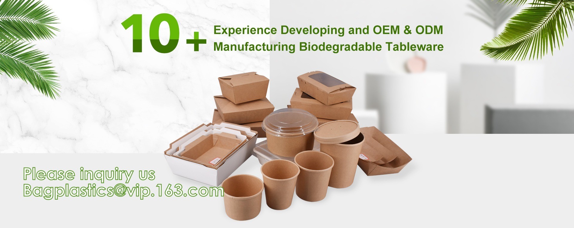 quality BIODEGRADABLE TABLEWARE factory