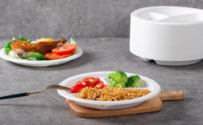 9 inch plastic plate