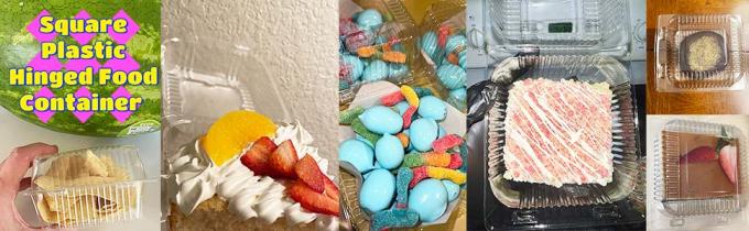 8 Square Plastic Hinged Food Container