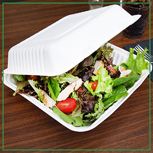 100% Compostable 3 Comp Take Out Food Containers Containers, Natural Disposable Bagasse, Eco-Friendly Biodegrad 2