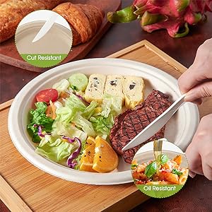100% Compostable 10 Inch Paper Plates, Heavy Duty Paper Plates, Disposable Biodegradable Eco-Friendly Sugarcane 1