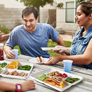disposable lunch trays