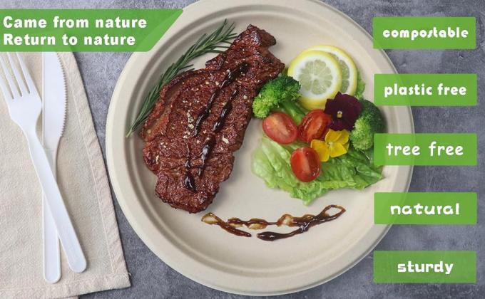 Compostable CPLA Cutlery Set, Zero Waste Serving Utensils Set, Parties Camping Trips, Biodegradable Kitchen Utensil 1