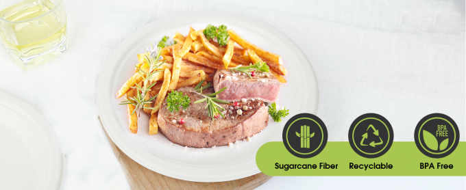 Compostable Paper Plates Set With Extra Long Utensils, Sugarcane Fibers Disposable Dinnerware Set, Eco Friendly 4