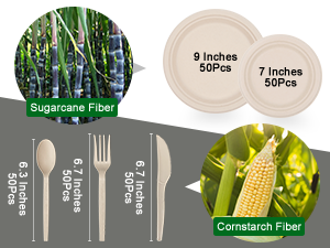 Compostable Paper Plates Set With Extra Long Utensils, Sugarcane Fibers Disposable Dinnerware Set, Eco Friendly 5