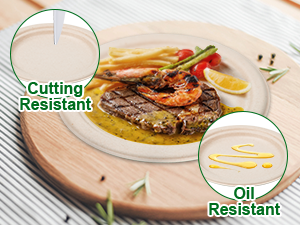 Compostable Paper Plates Set With Extra Long Utensils, Sugarcane Fibers Disposable Dinnerware Set, Eco Friendly 6