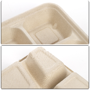 Peohud 50 Pack 6 Compartment Disposable Paper Plates