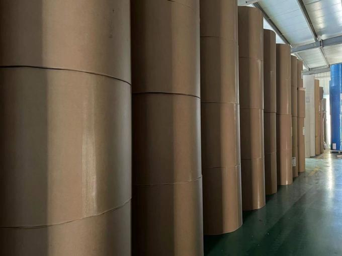 Wholesale Greaseproof Heat Resistant Deli Baking Parchment Paper For Kitchen Daily Baking Exporter 12