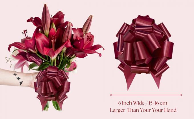 Easter Gift Wrap Pull Bows, Large 6 Inch Assorted Gift Pull Bows, For Gift Basket, Gift Bag Box Wrapping Decor 2