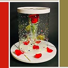 Tall Clear Cake Boxes With Ribbon - Gold Round Clear Cake Box For Birthday Cake | Wedding Cake Transparent Cake Box 2