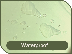 disposable tablecloth