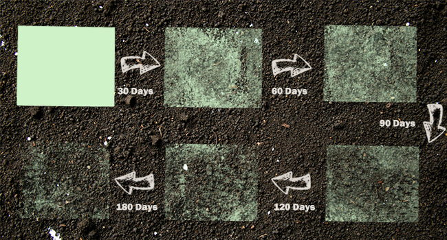 disposable tablecloth