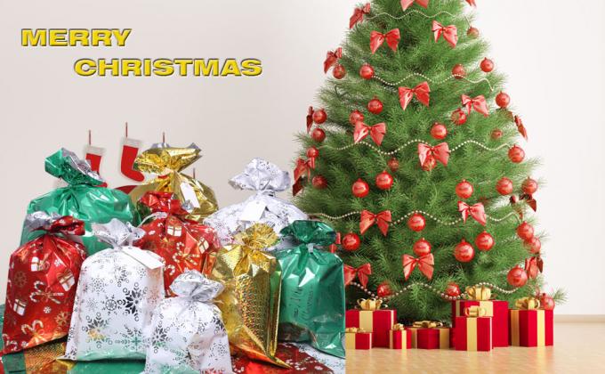 Gift Bags,Assorted Size Christmas Gift Bags With Tags,Christmas Drawstring Gift Bags, Holiday Gift Wrapping Sack 6