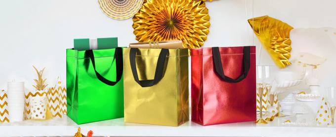 Colorful Gift Bags With Tissues – 9PCS Reusable Gift Bags Medium Size - Perfect As Goodie Bags, Birthday Gift Bag 4