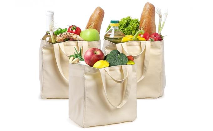 Thick Canvas Grocery Tote Bags With Bottle Sleeves, Large Reusable Shopping Bags With Long Shoulder Strap 0