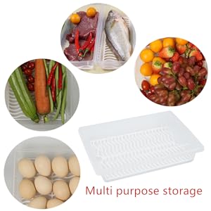 Food Storage Container, Plastic Food Containers With Removable Drain Plate Lid, Stackable Portable Freezer Storage 0