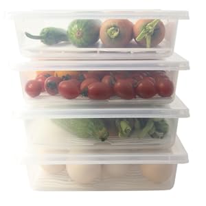 Food Storage Container, Plastic Food Containers With Removable Drain Plate Lid, Stackable Portable Freezer Storage 2