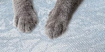 Couch Cover For Pets, Heavy Duty Cat Scratch Sofa Cover For Protection Against Cat Dog Clawing, Waterproof 1