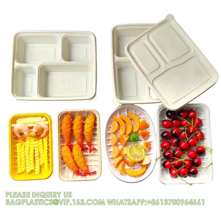 Disposable Biodegradable Sugarcane Bagasse Pulp Food Container Take ...